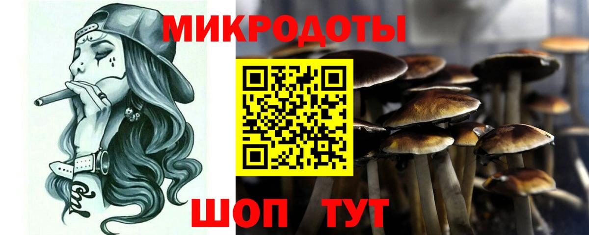 Галлюциногенные грибы Psilocybine cubensis  Вход с VPN  Воткинск 